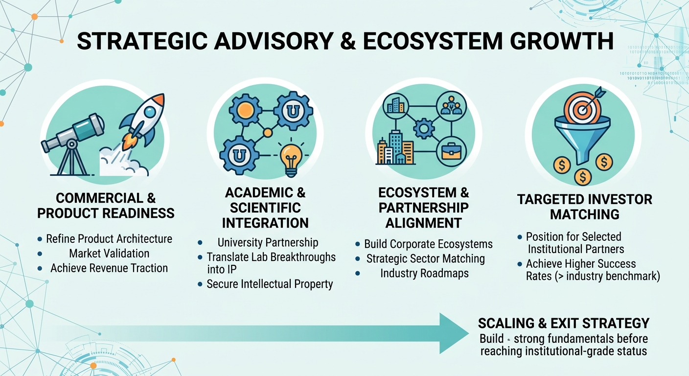 Strategic Advisory Beyond Traditional Venture Capital for Scale-Ups and Research Spin-Outs Serbia